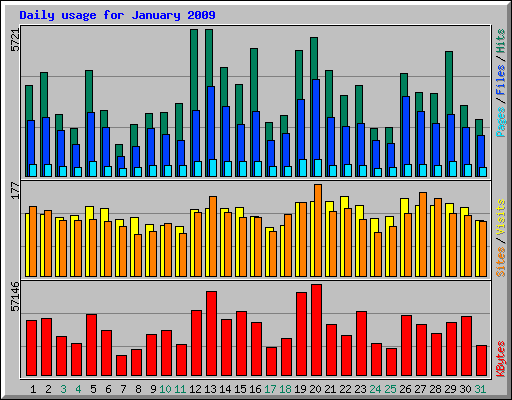 Daily usage for January 2009